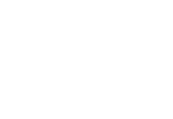 Veronica Vieira Logo